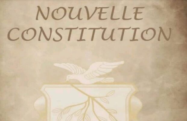 Nouvelle constitution : la ‘’Candidature indépendante’’ divise